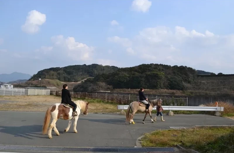 道を歩くことも