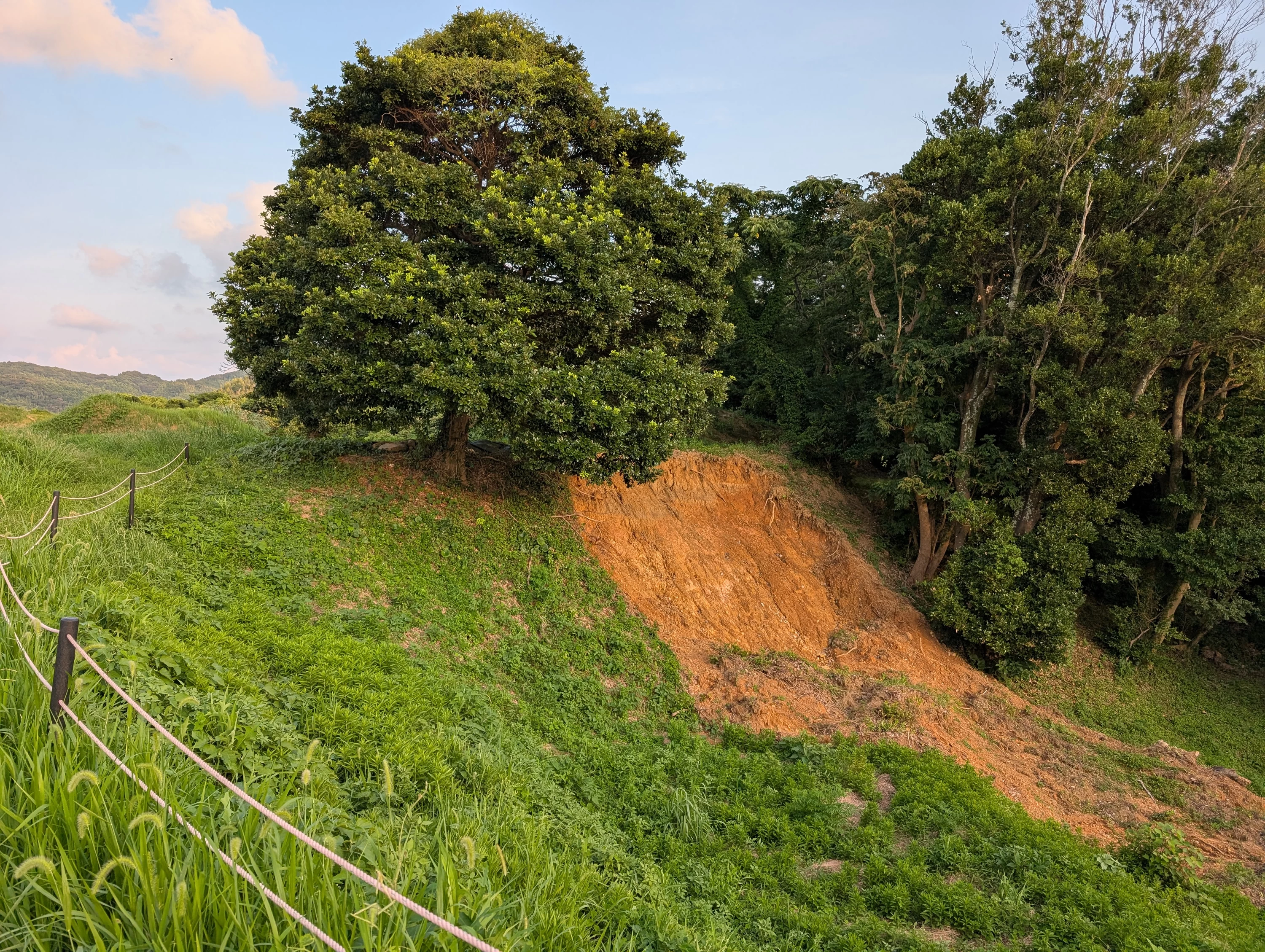2025年8月10日の水害被害、遊歩道部（現地にて撮影）