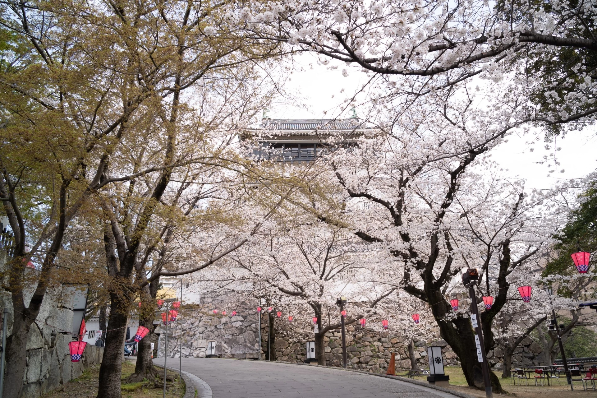 春にはお花見も