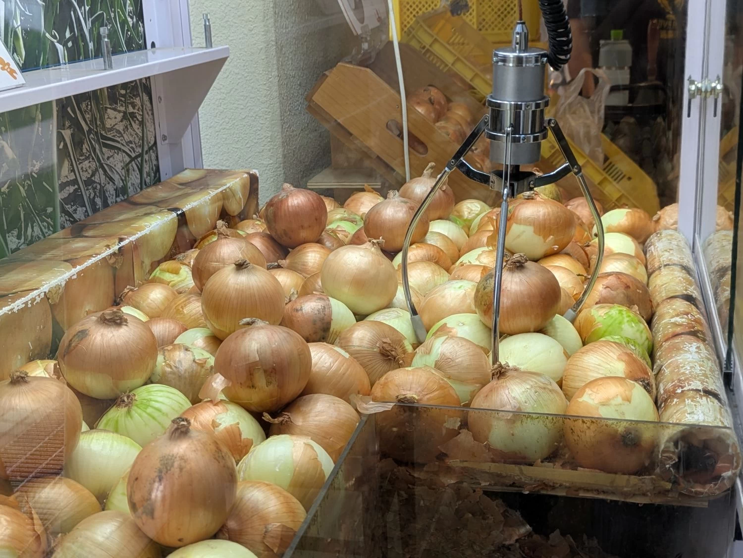 たまねぎキャッチャー（現地にて撮影）