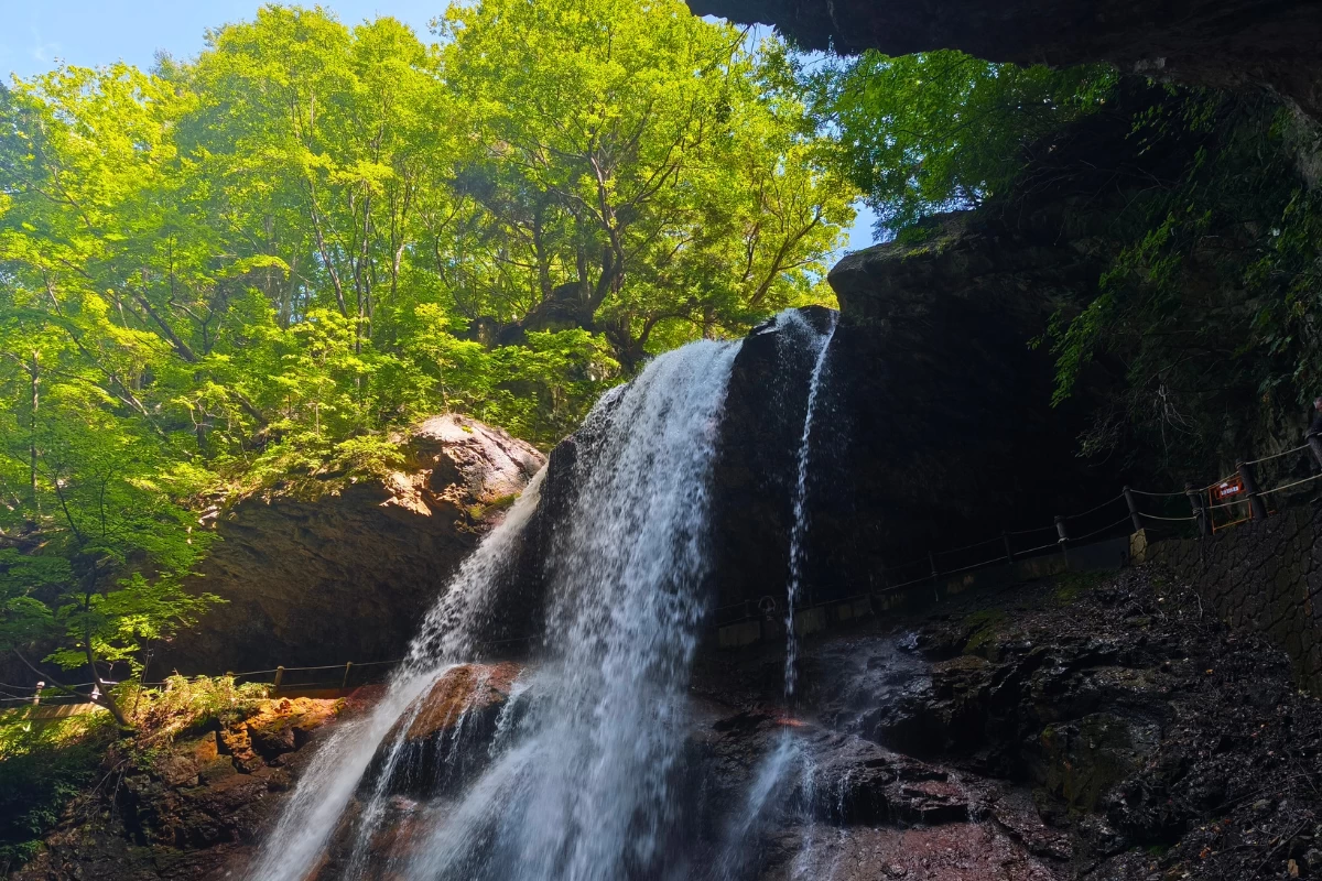 表からの迫力もすごい！（現地撮影）