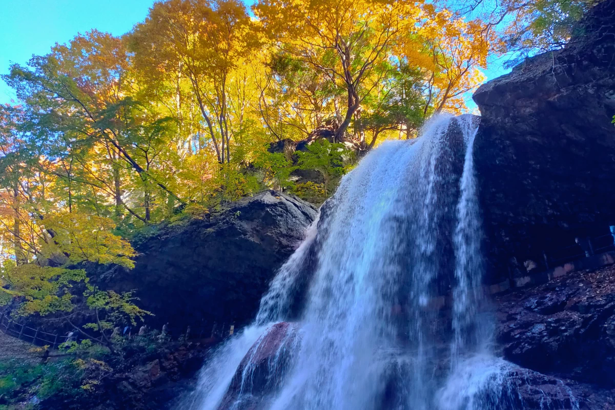 紅葉の時期はまた格別（現地撮影）
