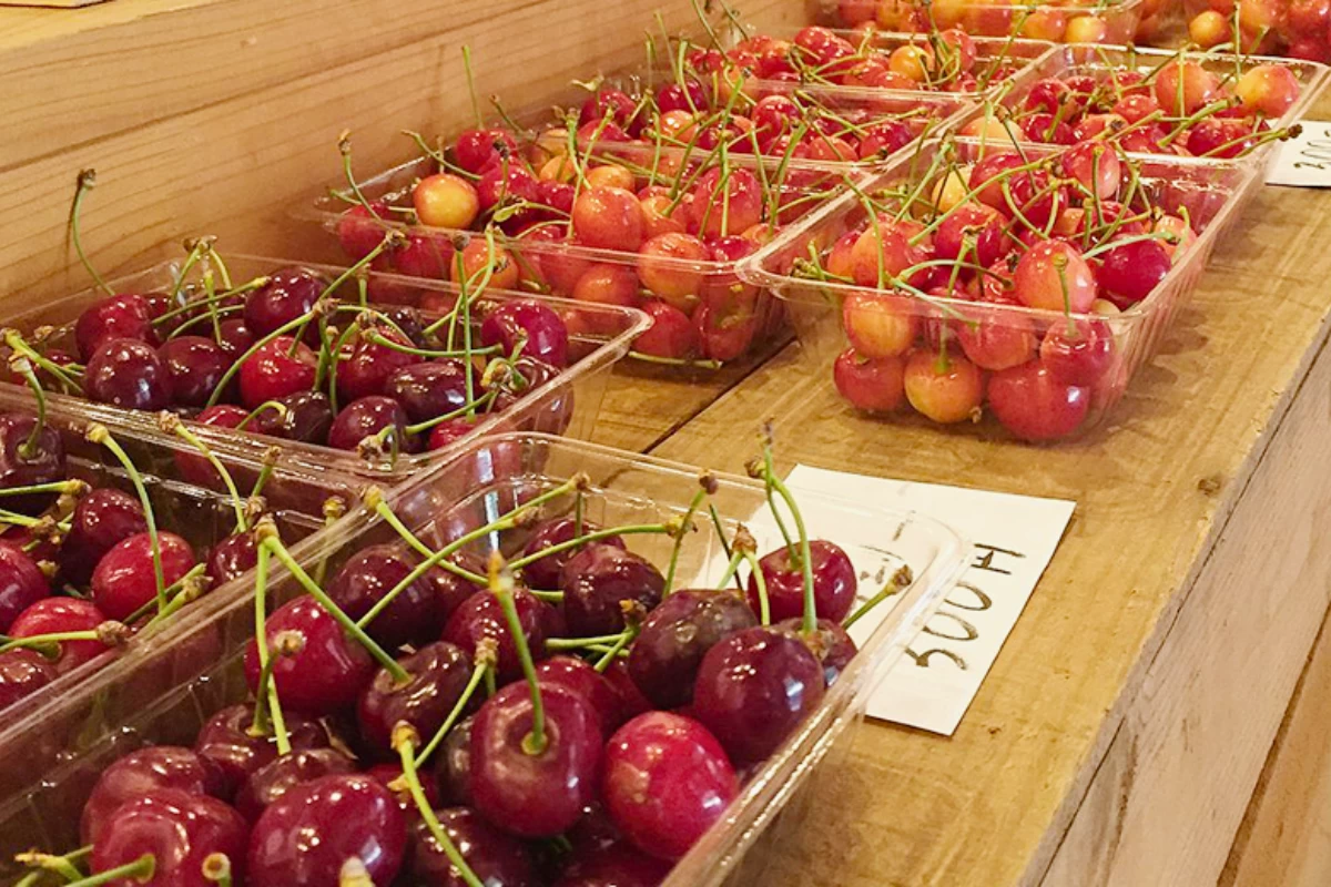 売店の地元産品