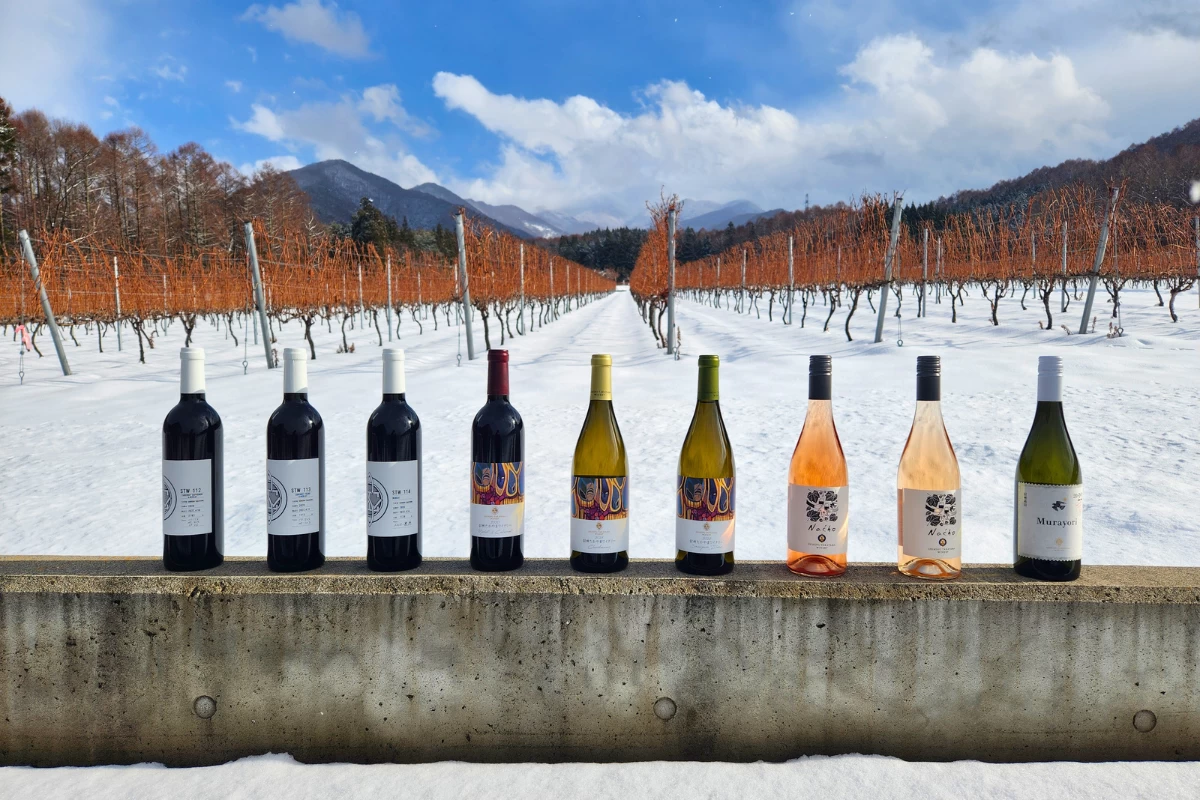 さまざまなラインナップ