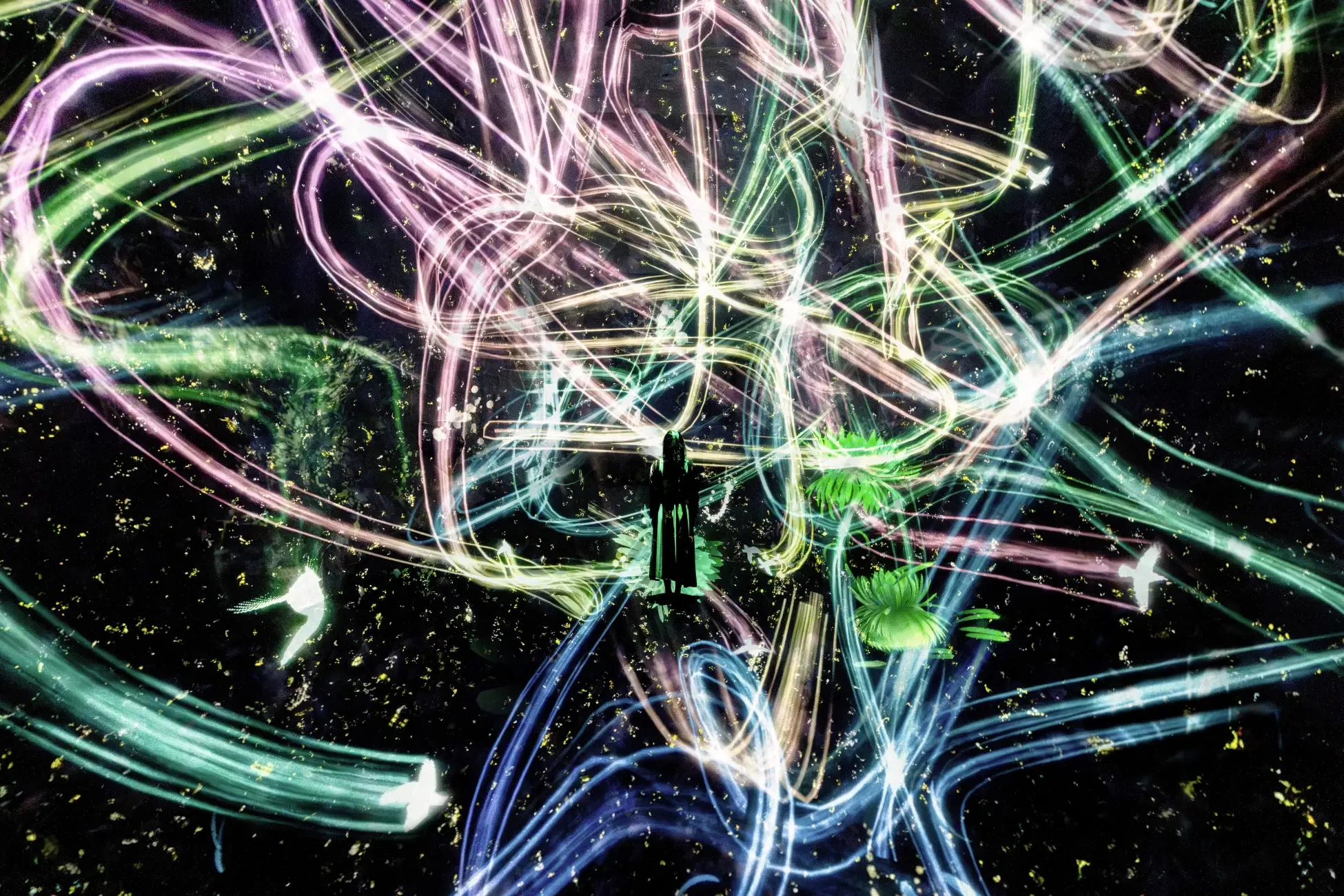 チームラボ《追われるカラス、追うカラスも追われるカラス》© チームラボ