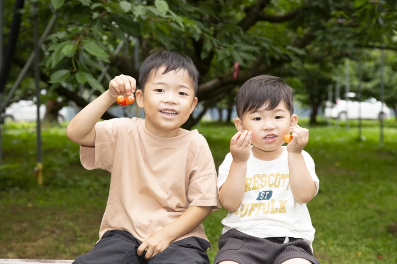 果樹園の様子（現地にて撮影）