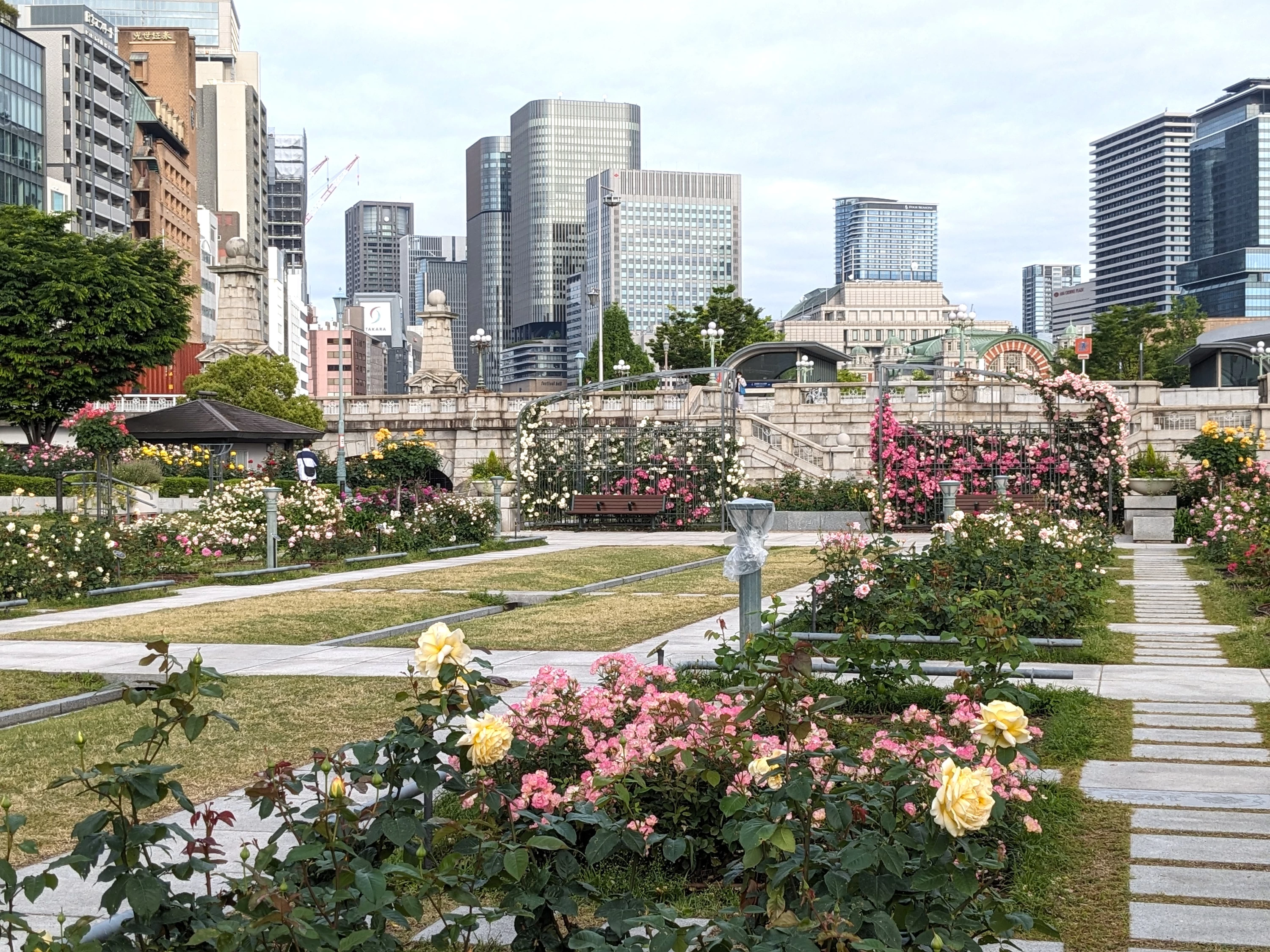 中之島バラ園（現地にて撮影）