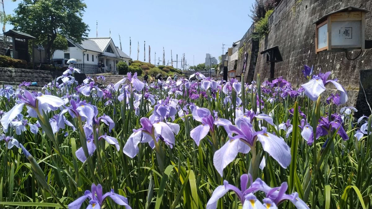 商人の町として栄えた歴史が残る