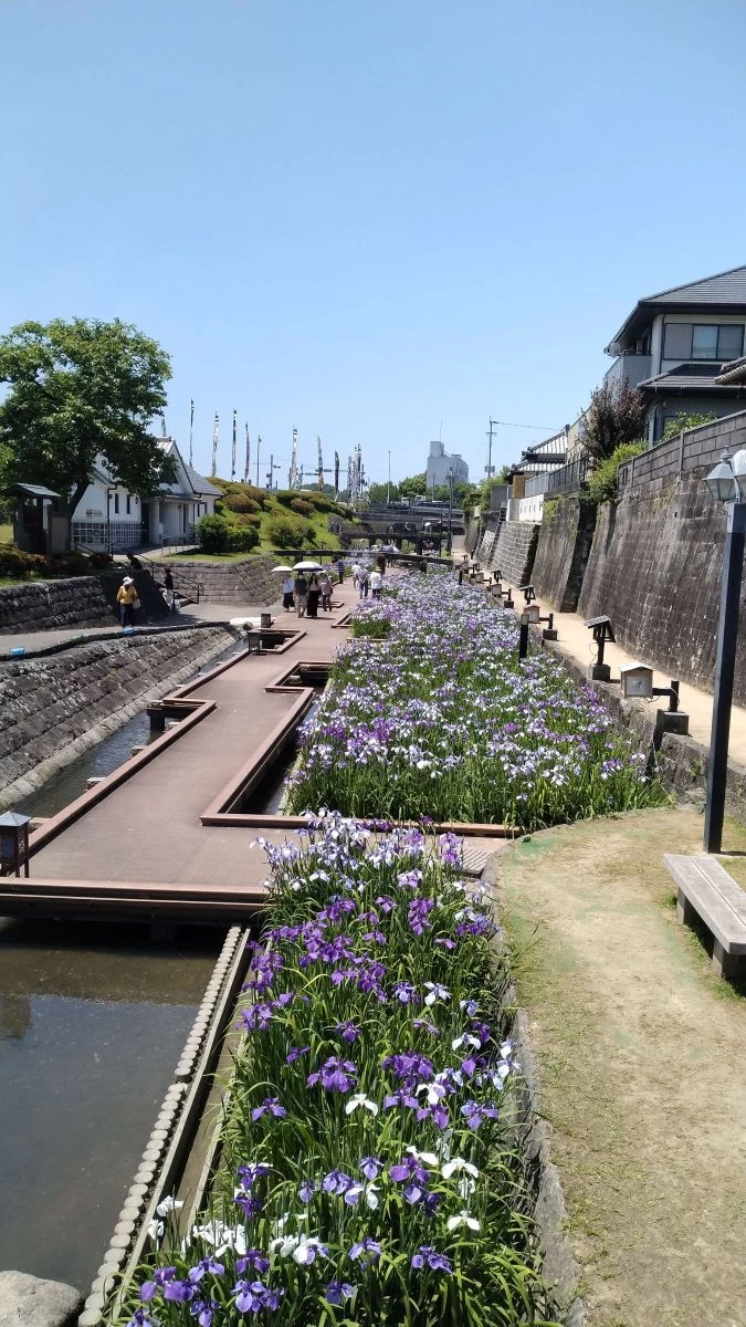 川岸にはデッキが設けられ散歩にぴったり
