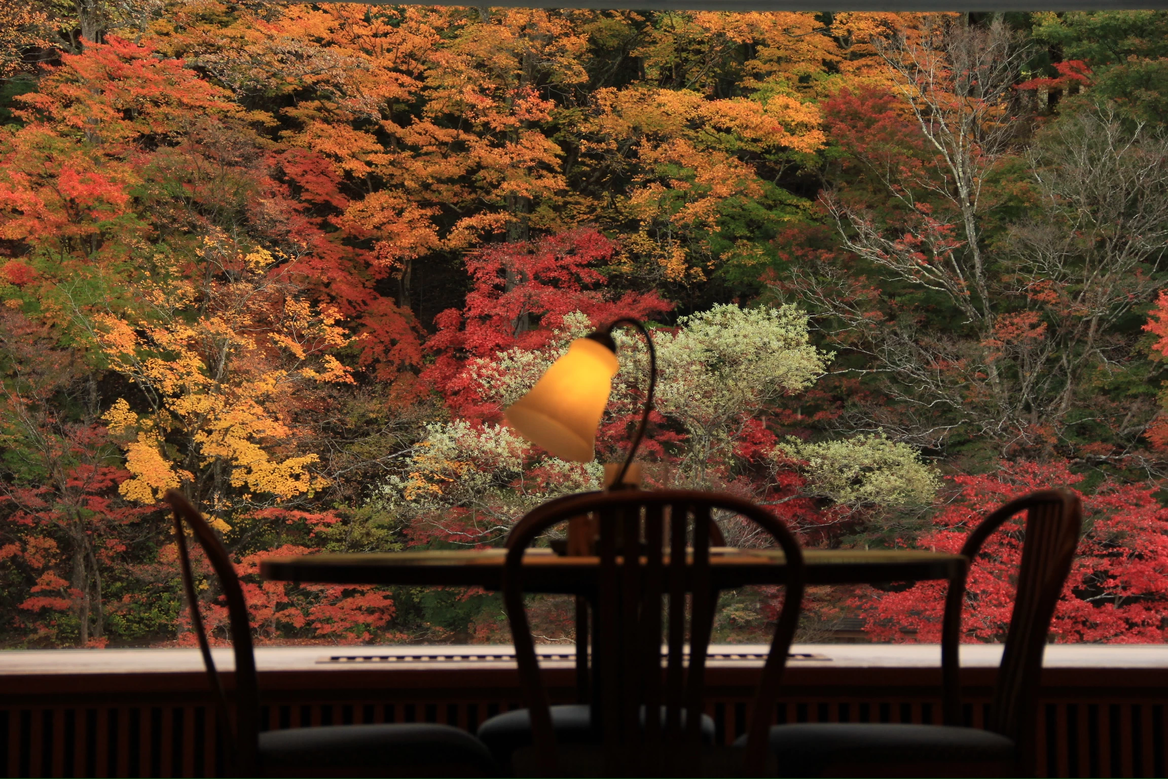 洋燈からの紅葉