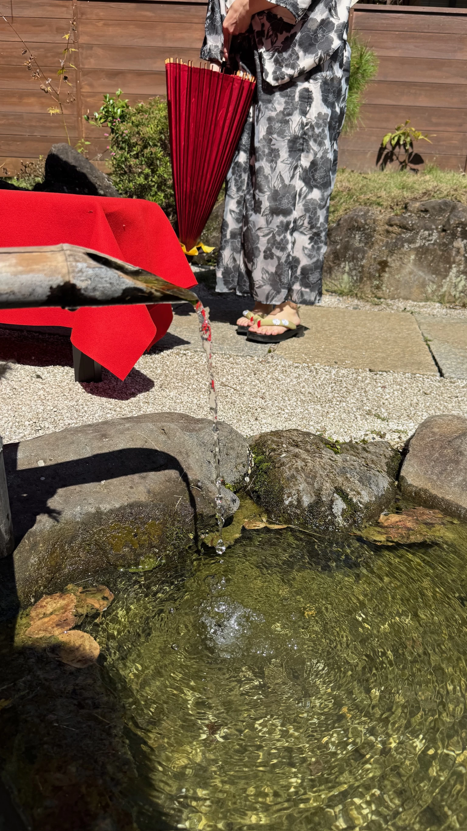 庭園内（現地にて撮影）