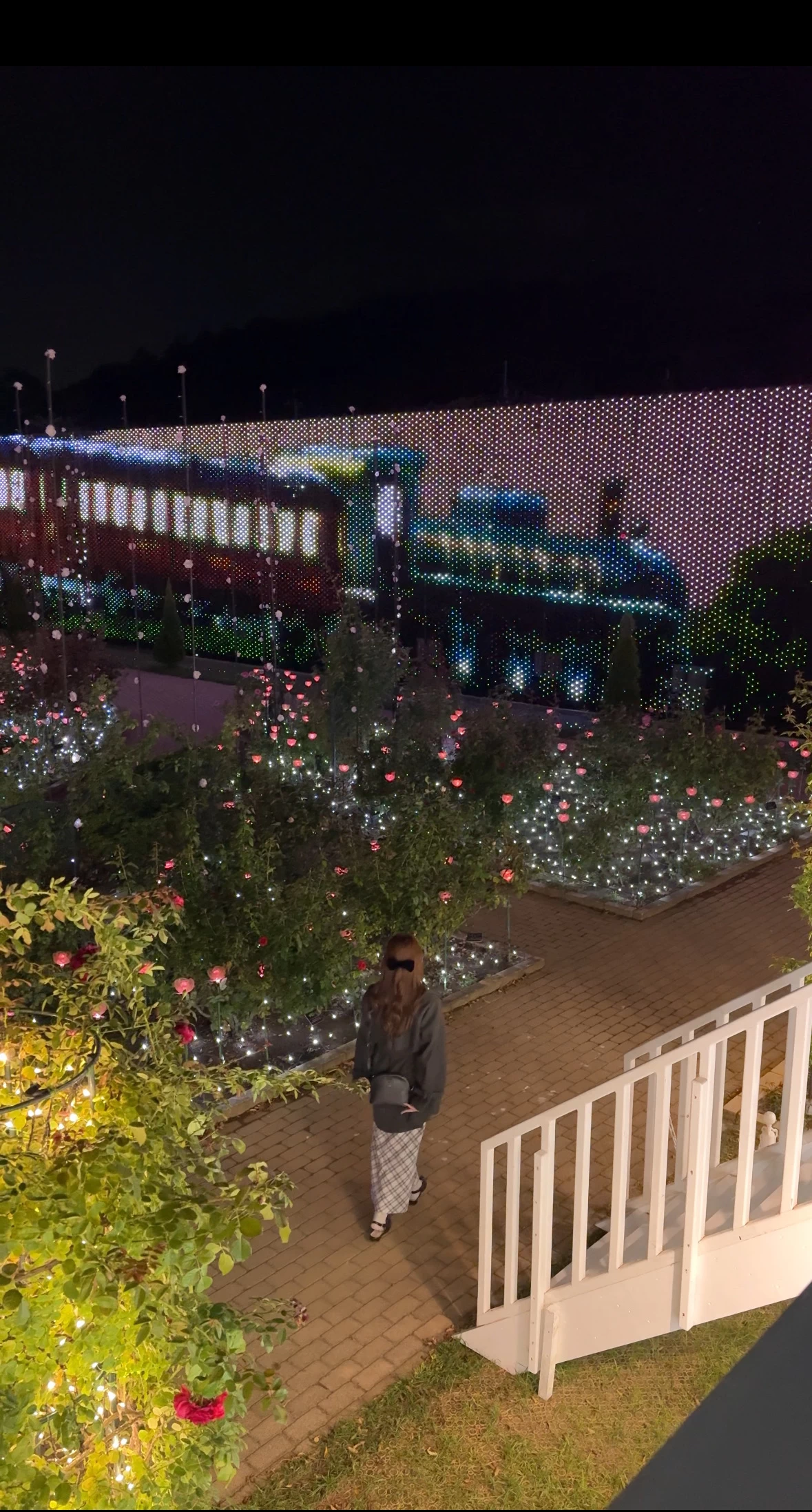 バラ園のイルミネーション（現地にて撮影）