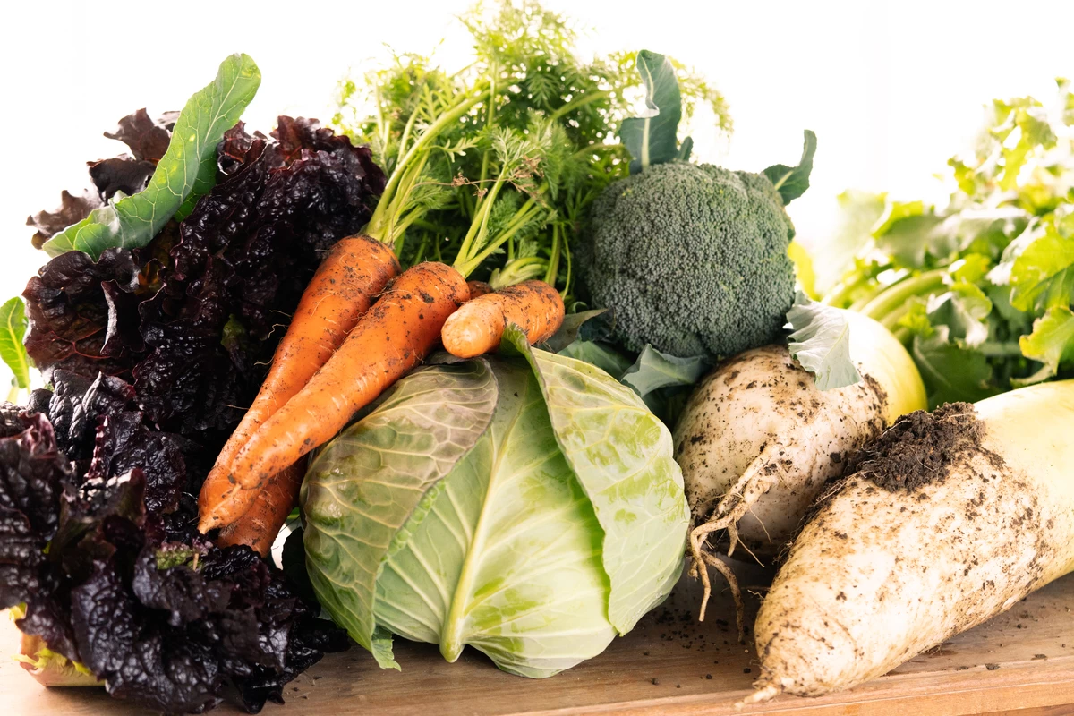 野菜収穫体験も楽しめる