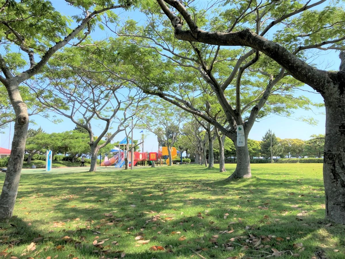 開放的な空間が広がる