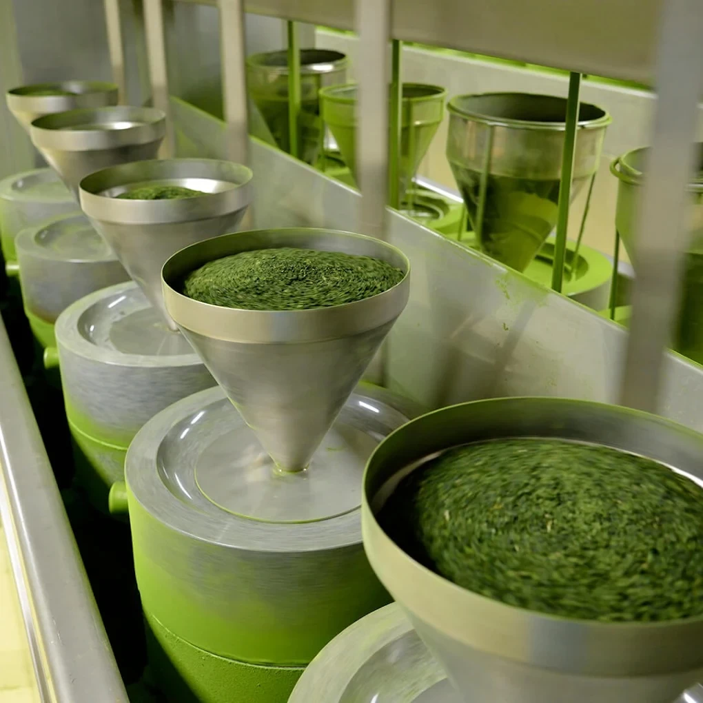 抹茶の製造工程を窓越しに見学