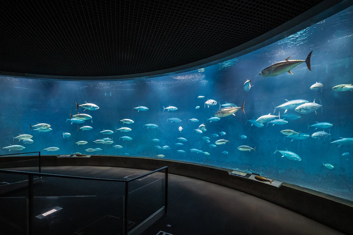 アクアシアター