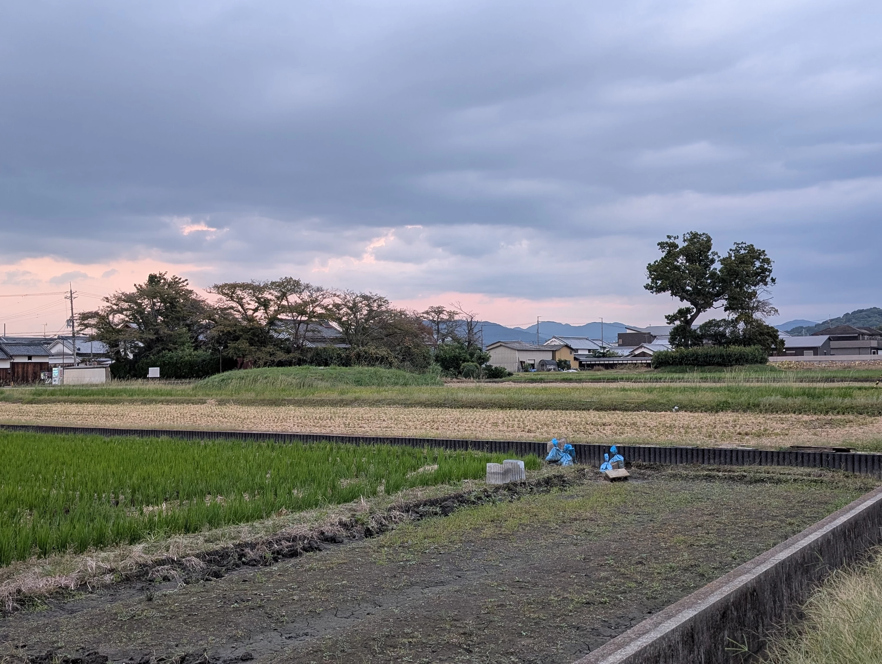 俯瞰（現地にて撮影）