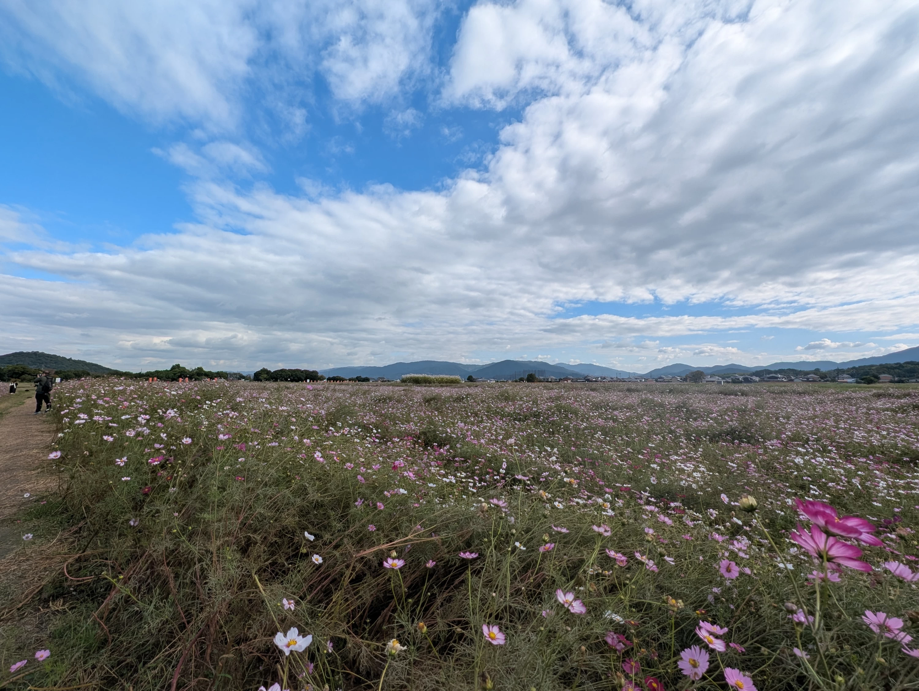 俯瞰（現地にて撮影）