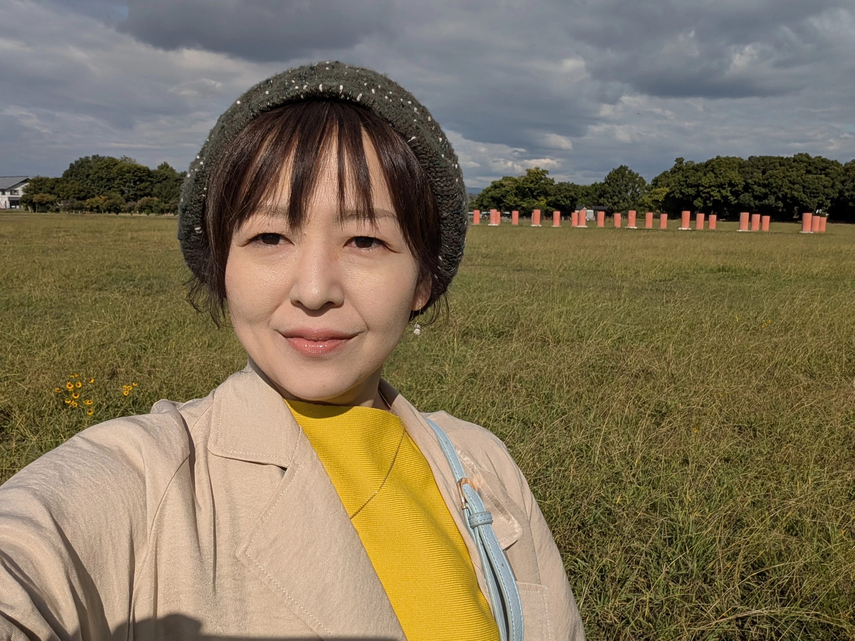 広大な敷地に残る礎石跡には柱が復元されている（現地にて撮影）