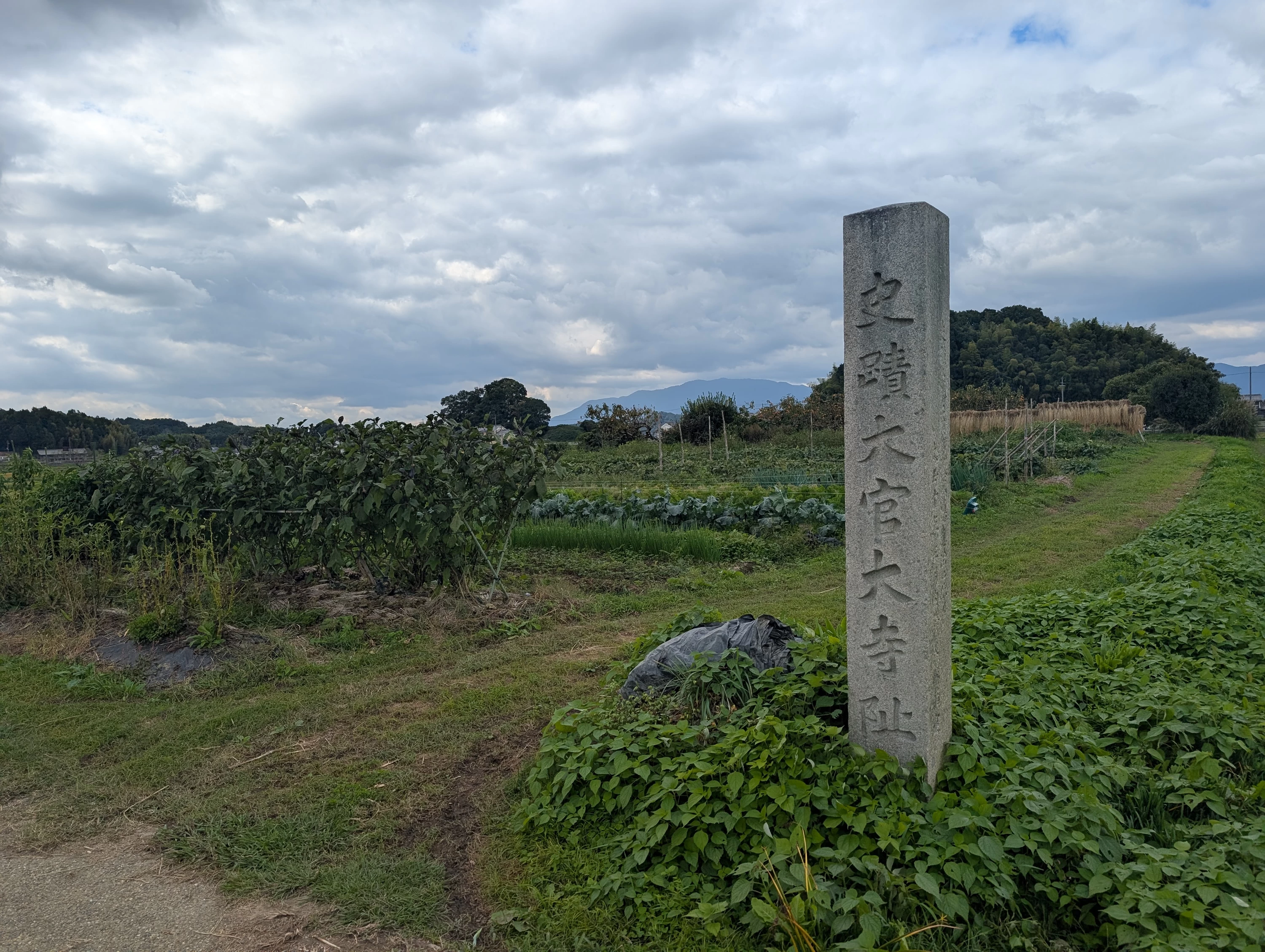 風景（現地にて撮影）
