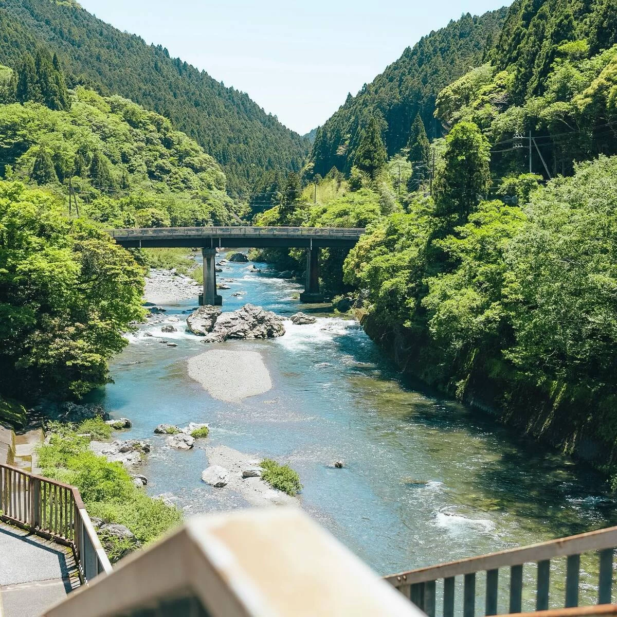 新緑と紅葉が美しい清流