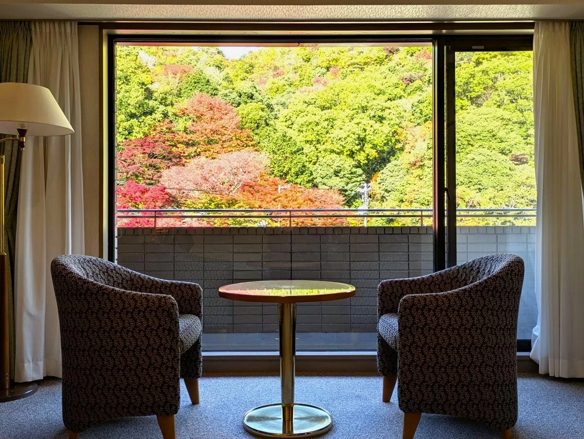 部屋の窓からの眺め（現地にて撮影）