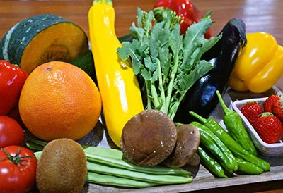 新鮮な野菜や魚をたっぷり使った夜須町の味