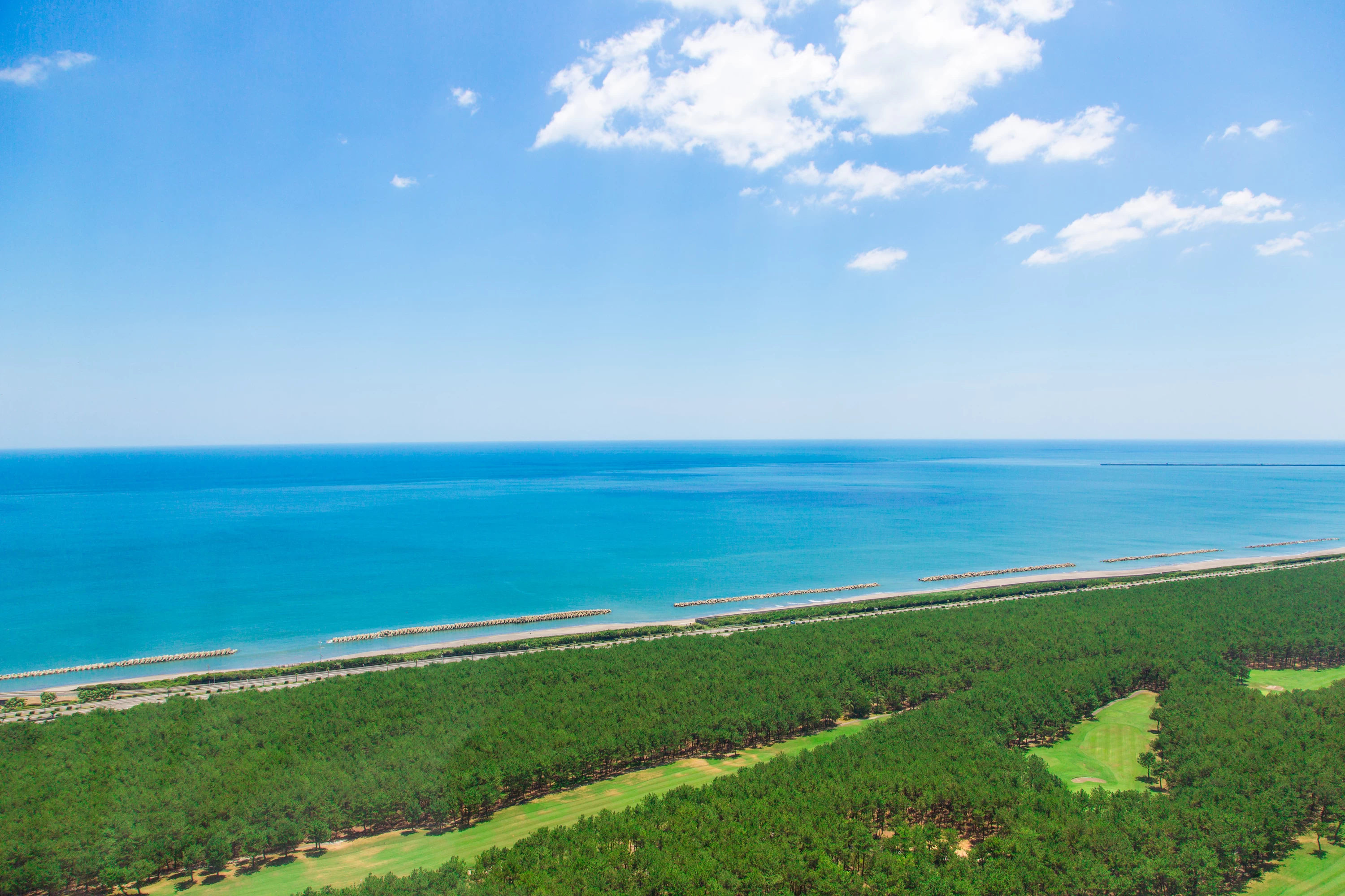 客室からの眺め