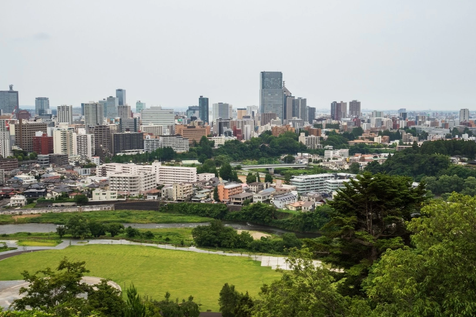 仙台の街が一望できる