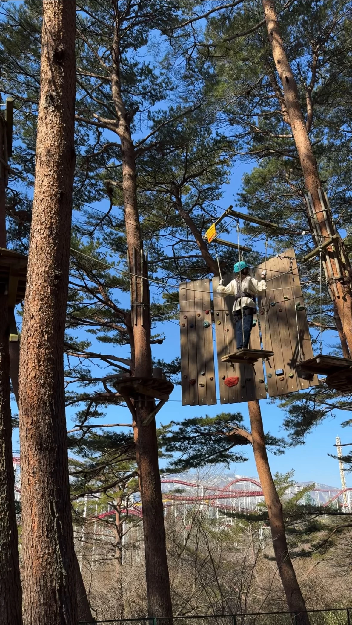 NOZARUを楽しむ様子①（現地にて撮影）