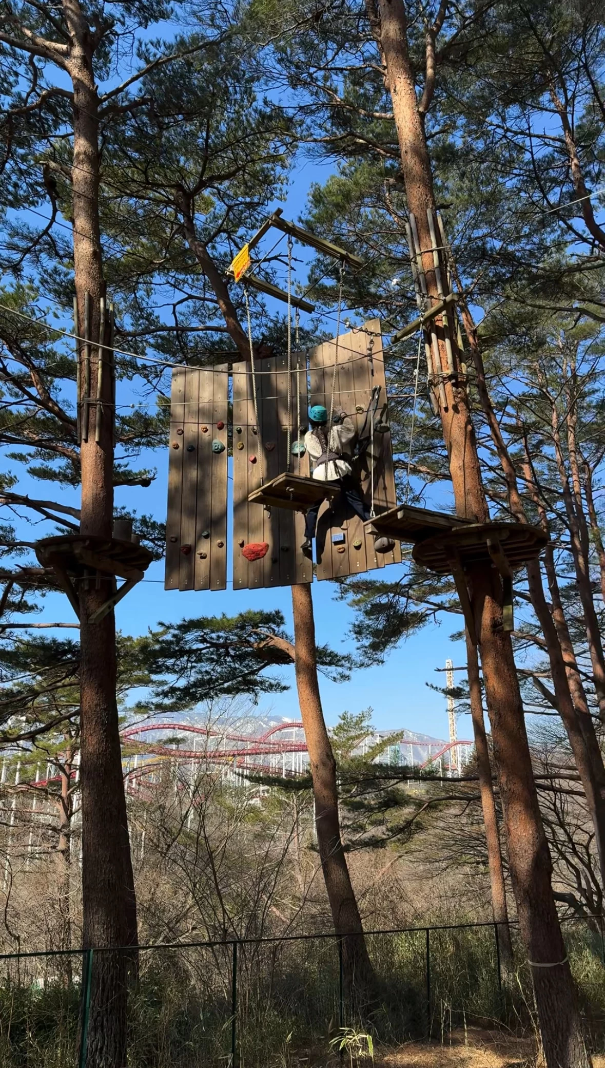 NOZARUを楽しむ様子②（現地にて撮影）