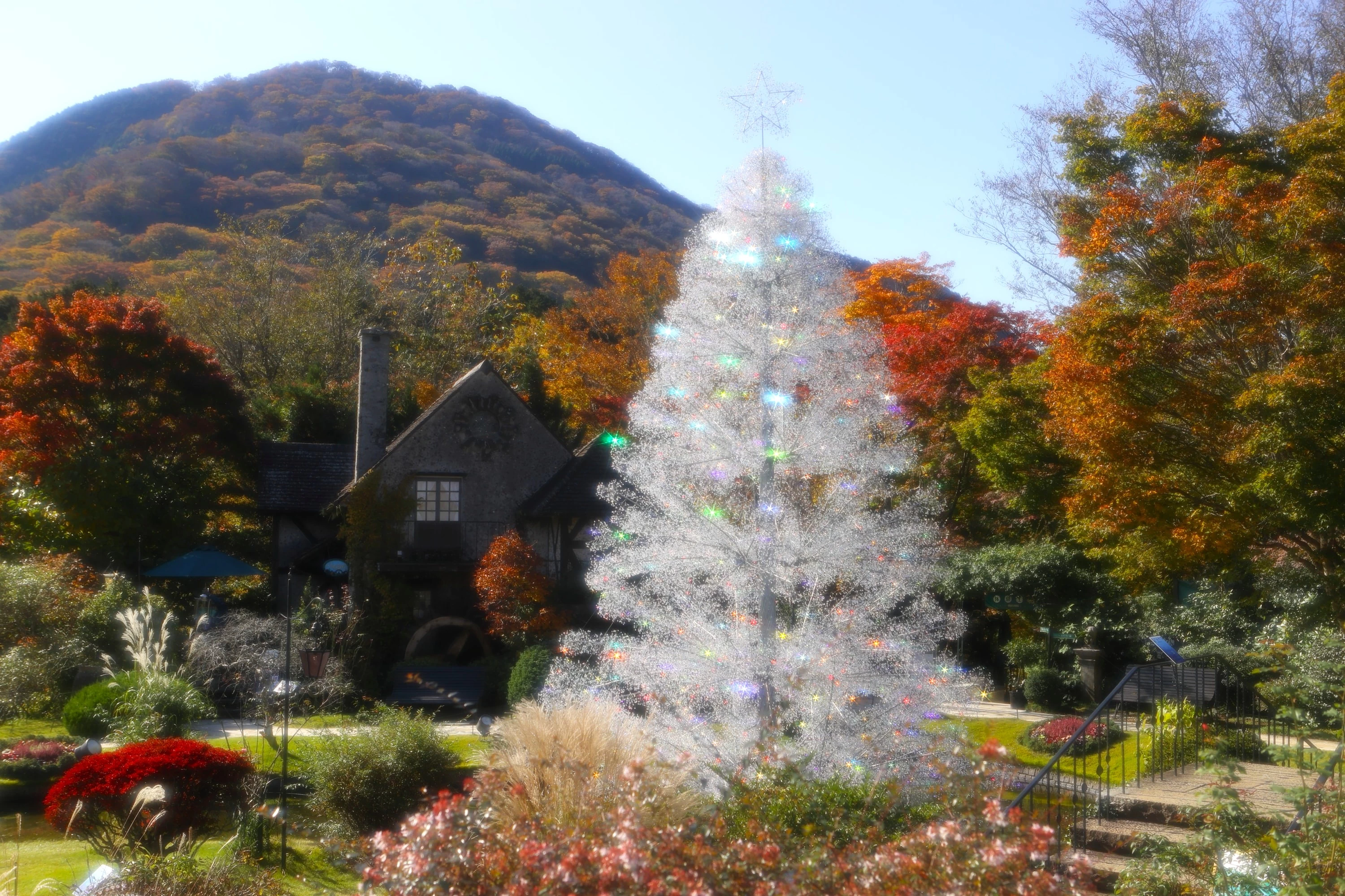 クリスタル・ガラスのツリー「アベーテ」（画像提供：箱根ガラスの森美術館）