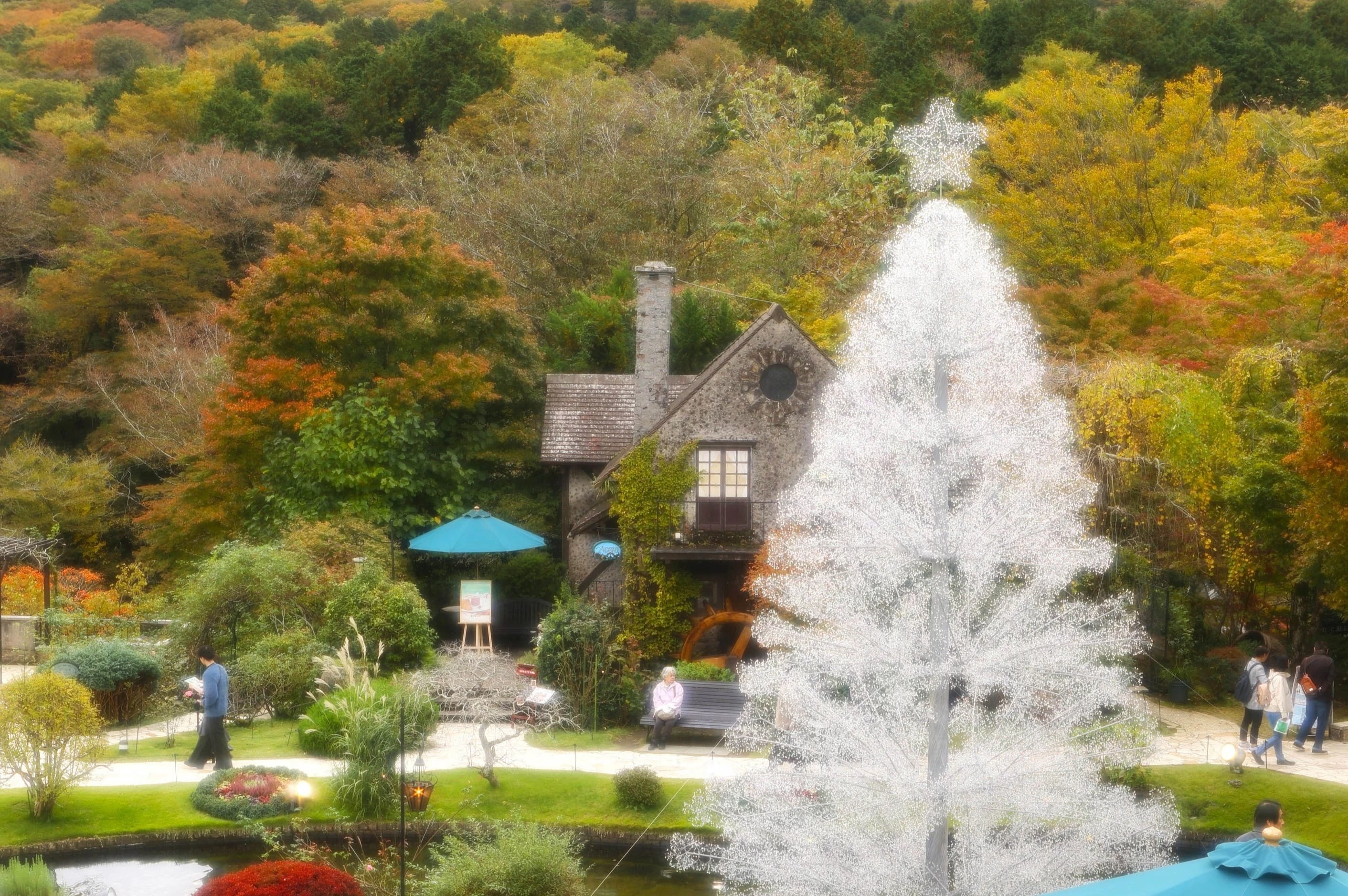 クリスマスシーズンの園内（画像提供：箱根ガラスの森美術館）
