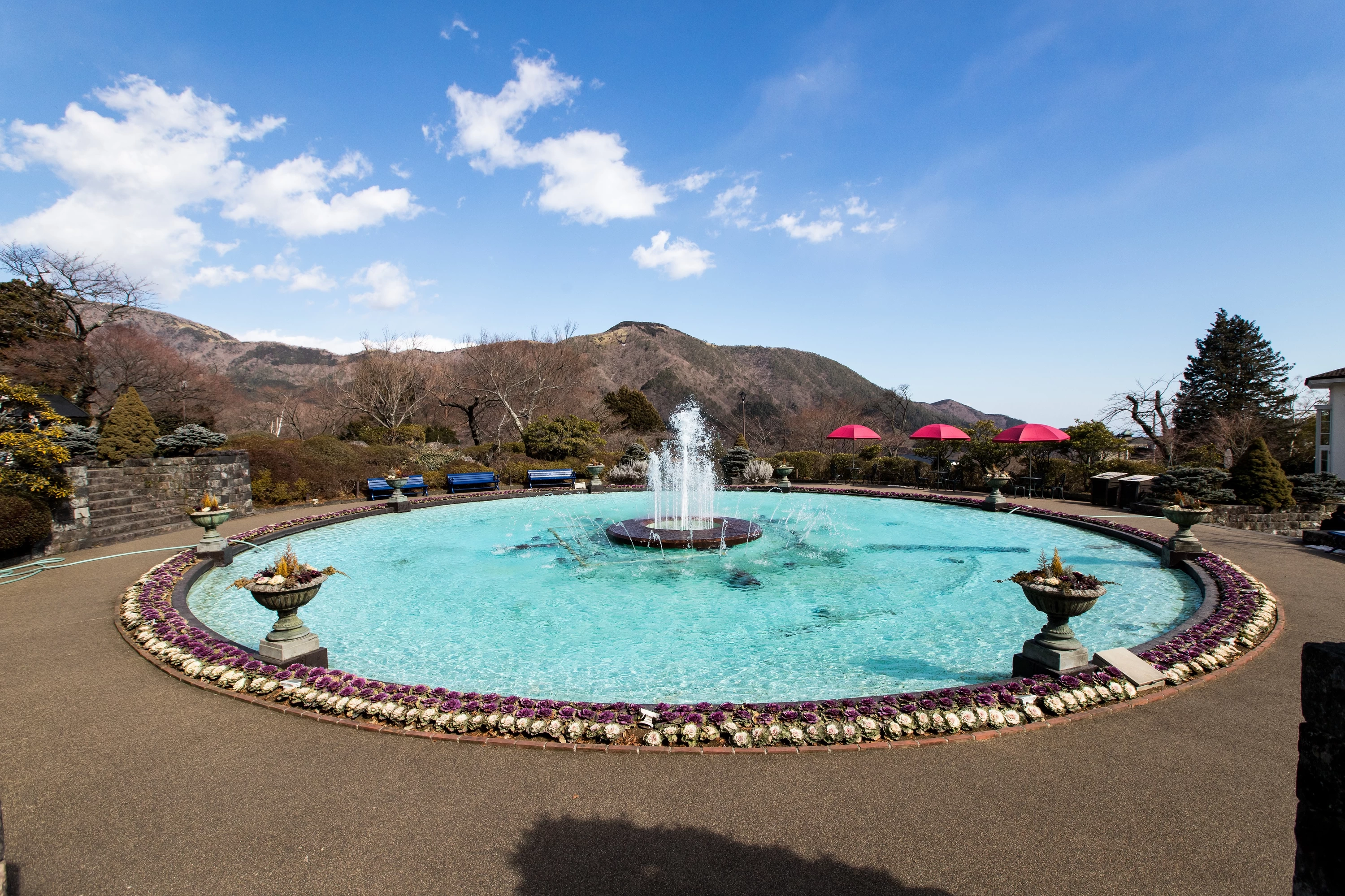 冬の噴水池（画像提供：箱根強羅公園）