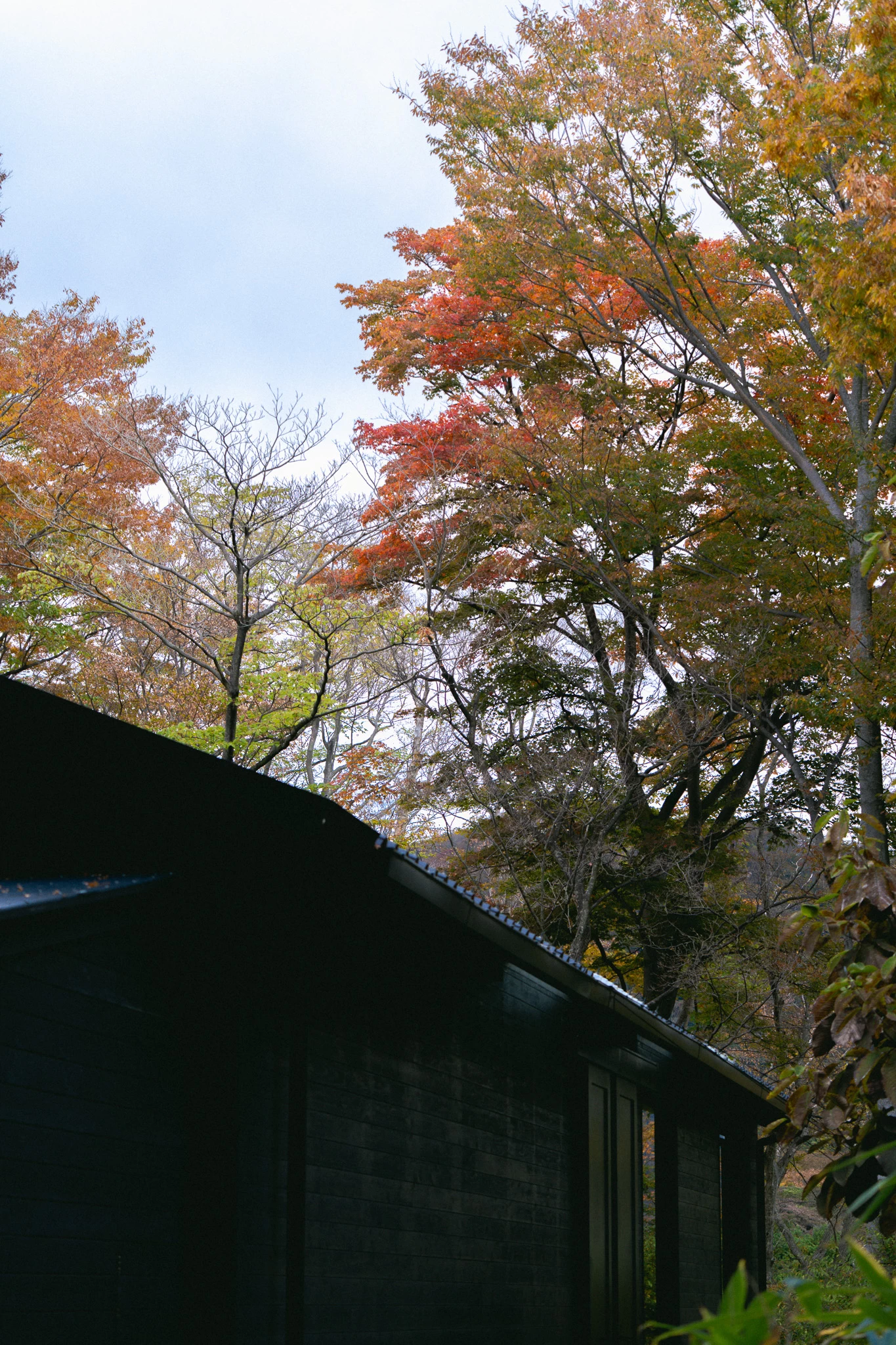 晩秋～冬のNOMU hakone（画像提供：ニコライ バーグマン 箱根 ガーデンズ）