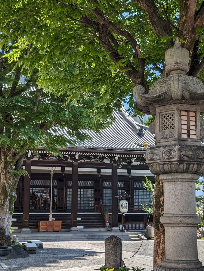 夏の本堂