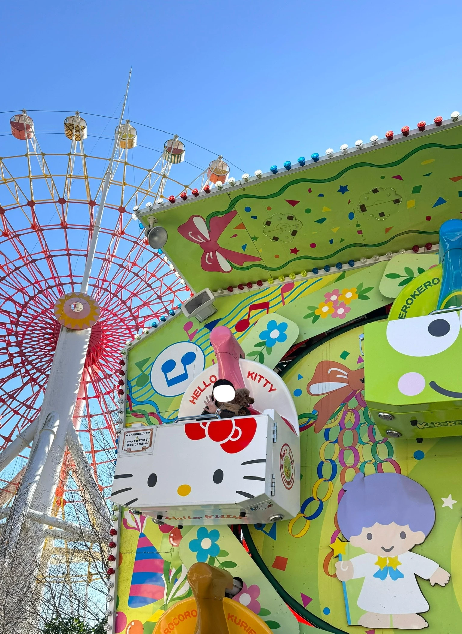 ペット可の乗り物に乗る様子（現地にて撮影）