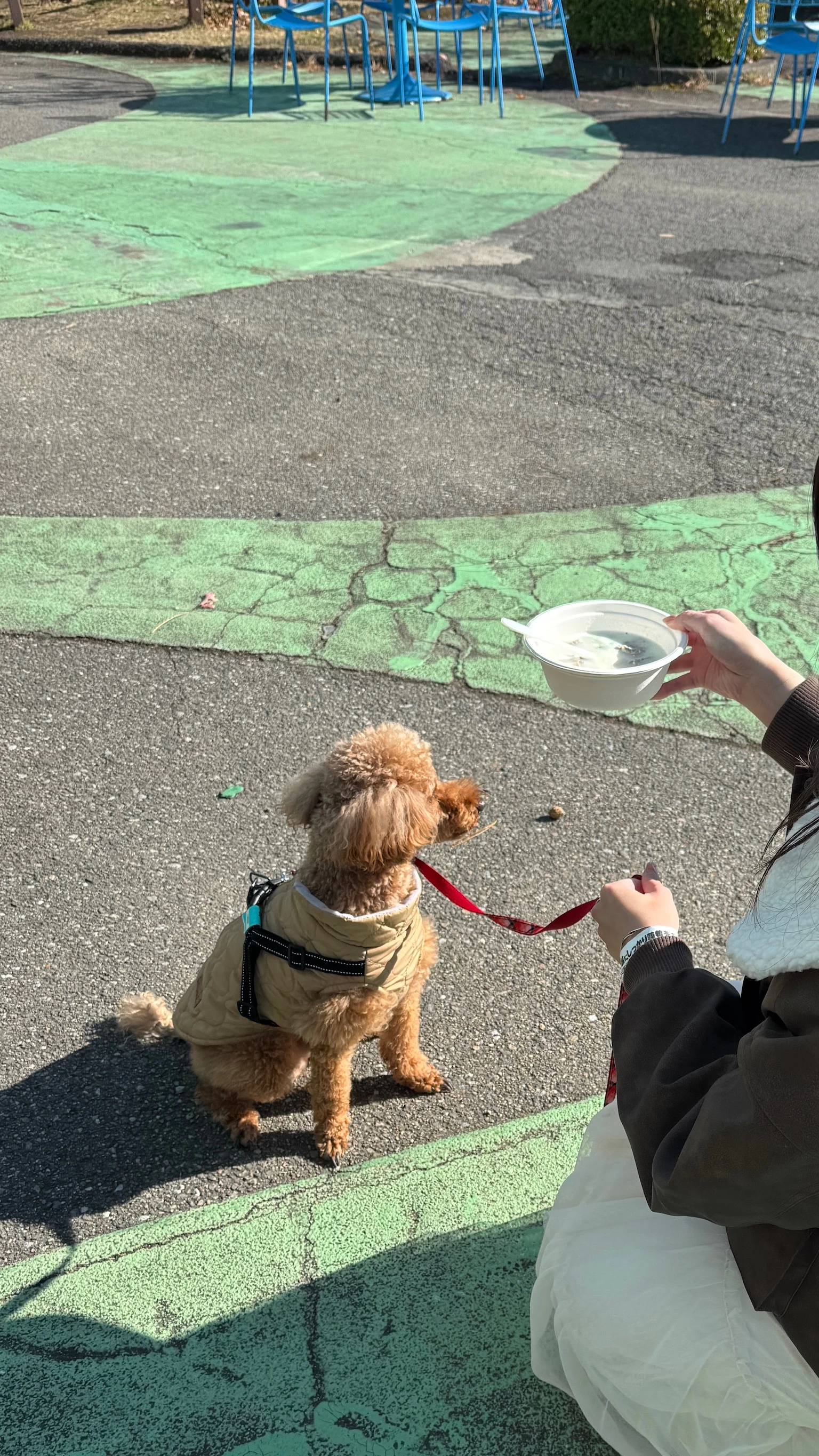 シチューを待つ様子（現地にて撮影）