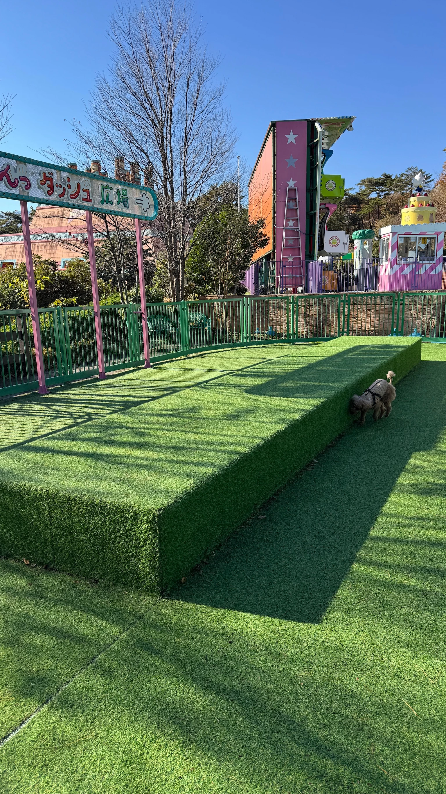 広々としたドッグラン（現地にて撮影）