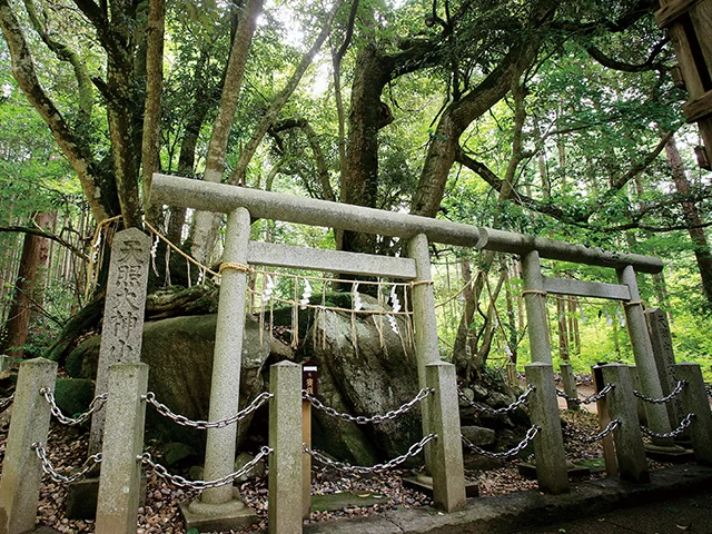 眞名井神社裏手にある古代の祭祀形態「磐座」