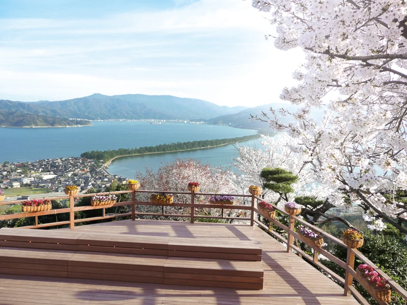 円形劇場のようなウッドデッキ「コロッセオ」