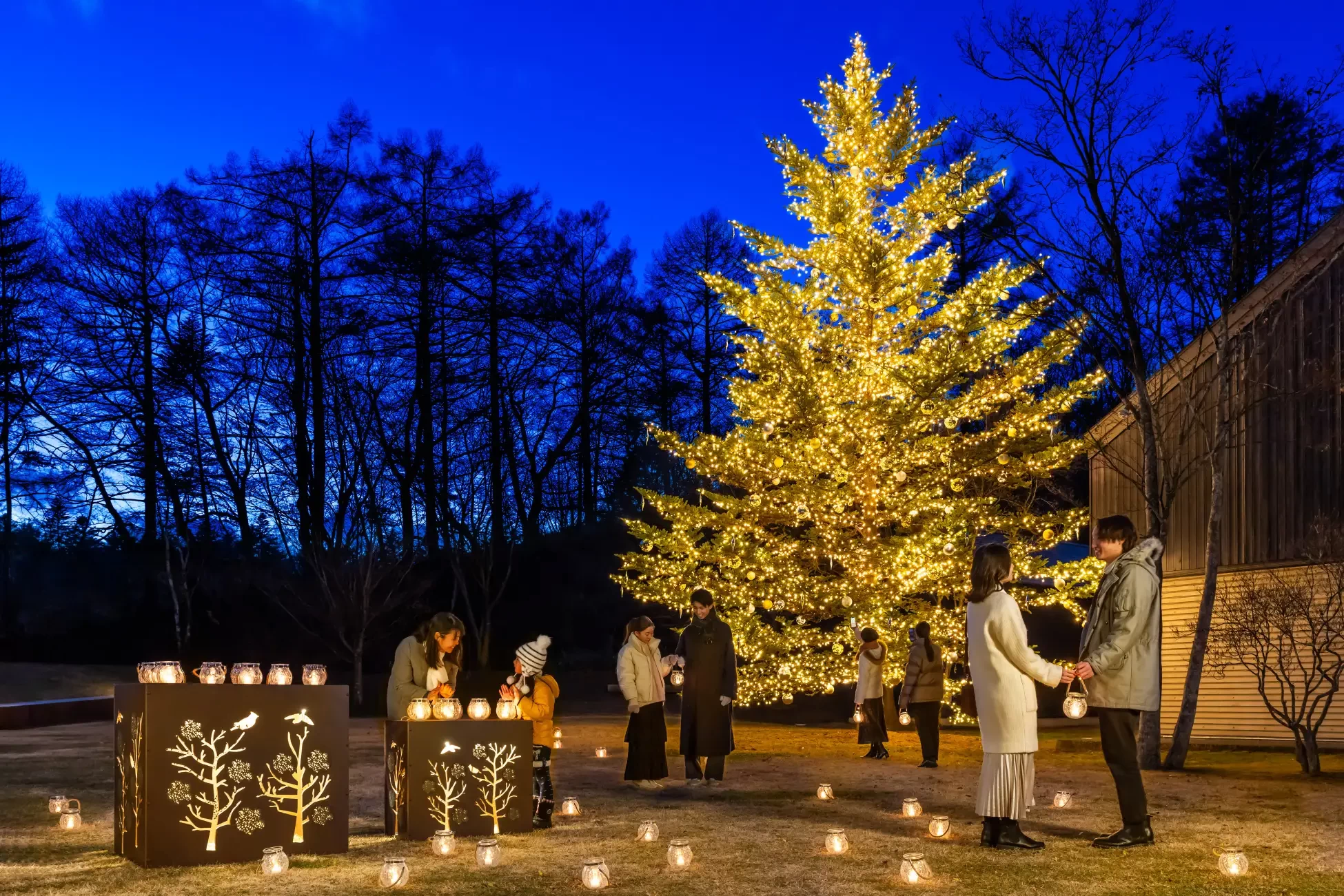 もみの木広場にある高さ10mのクリスマスツリー