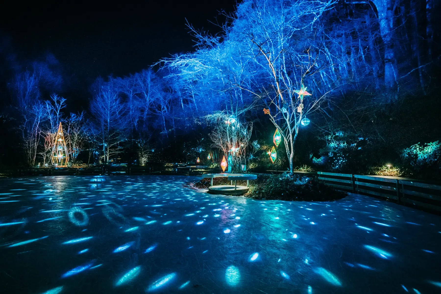 リンク上に光の粒が広がる