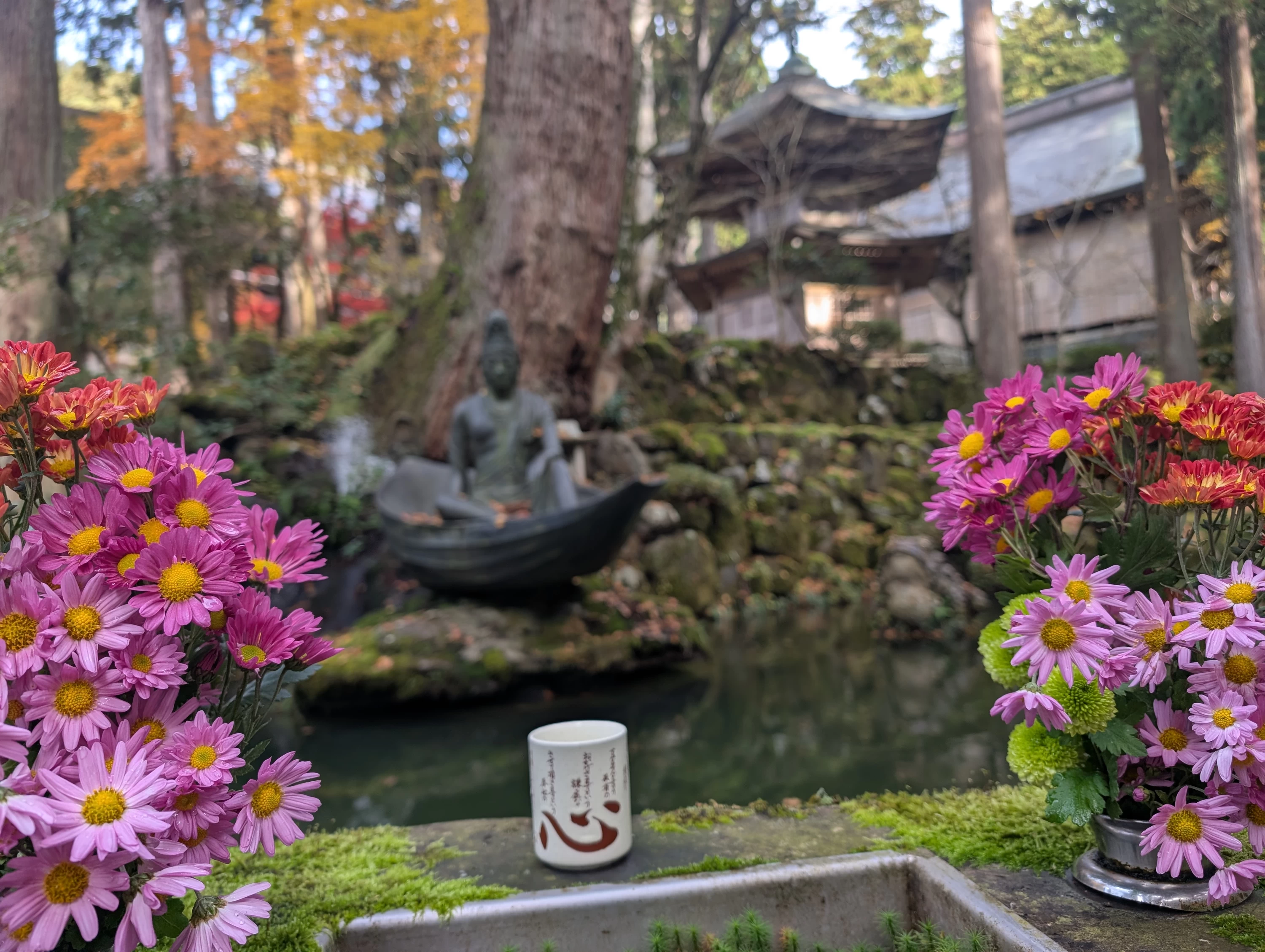 境内②（現地にて撮影）