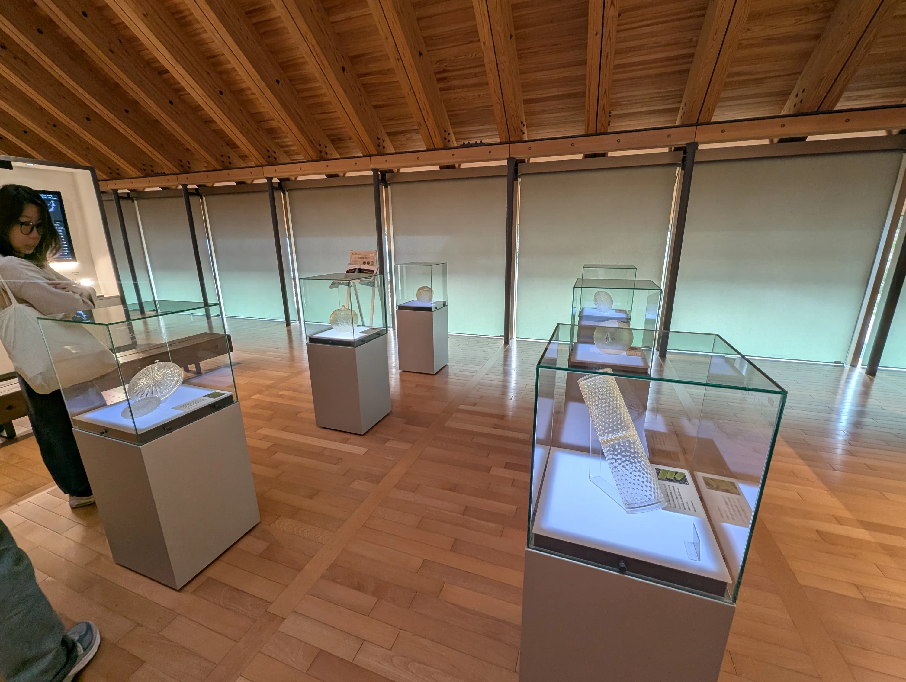 館内　※現地にて撮影