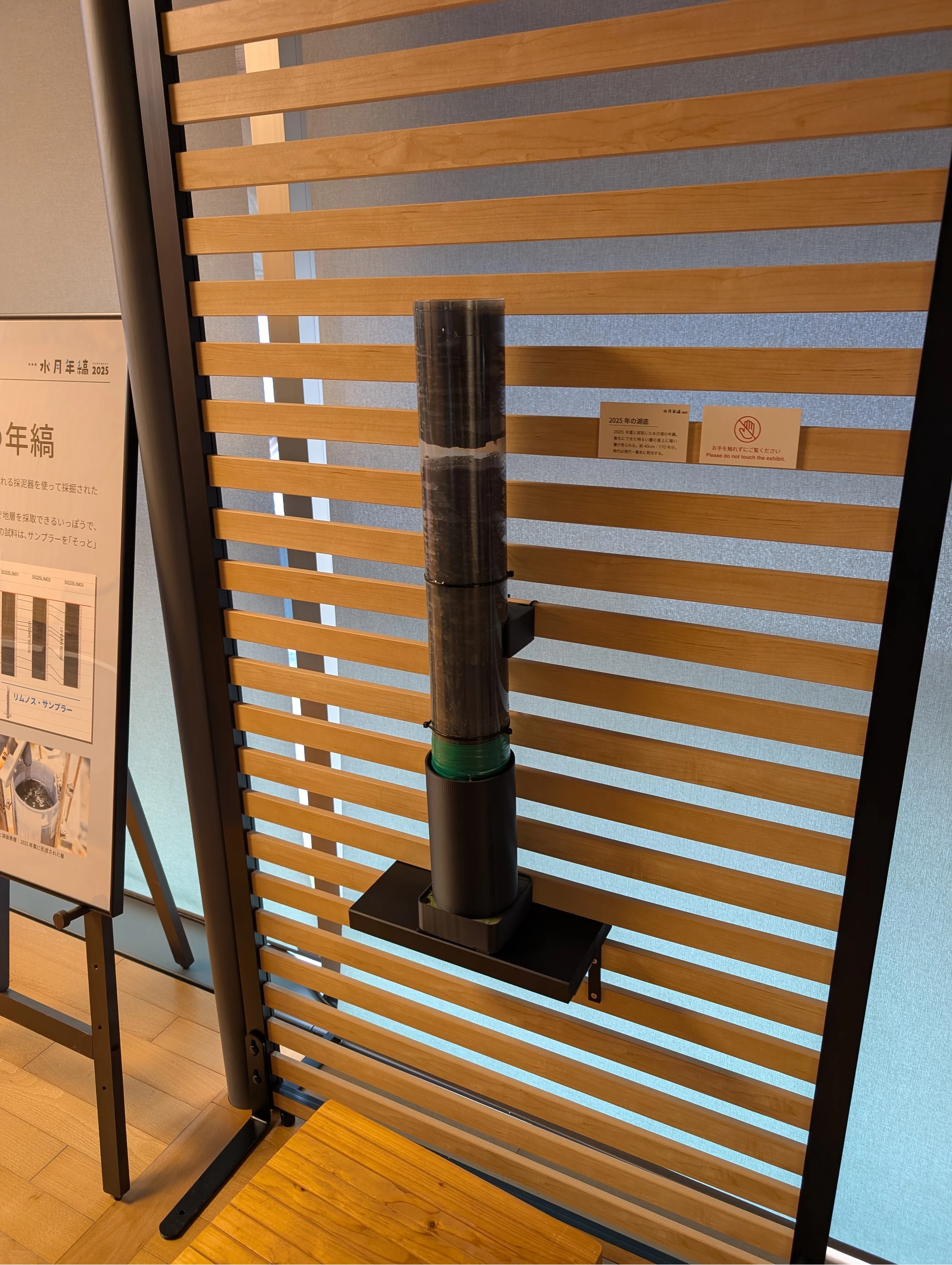 2025年に採取したもの。匂いが強烈！（現地にて撮影）