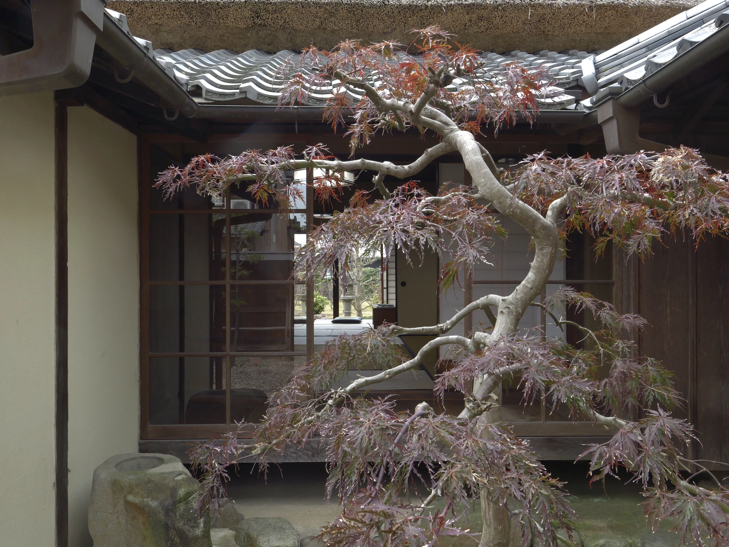 中庭（現地にて撮影）