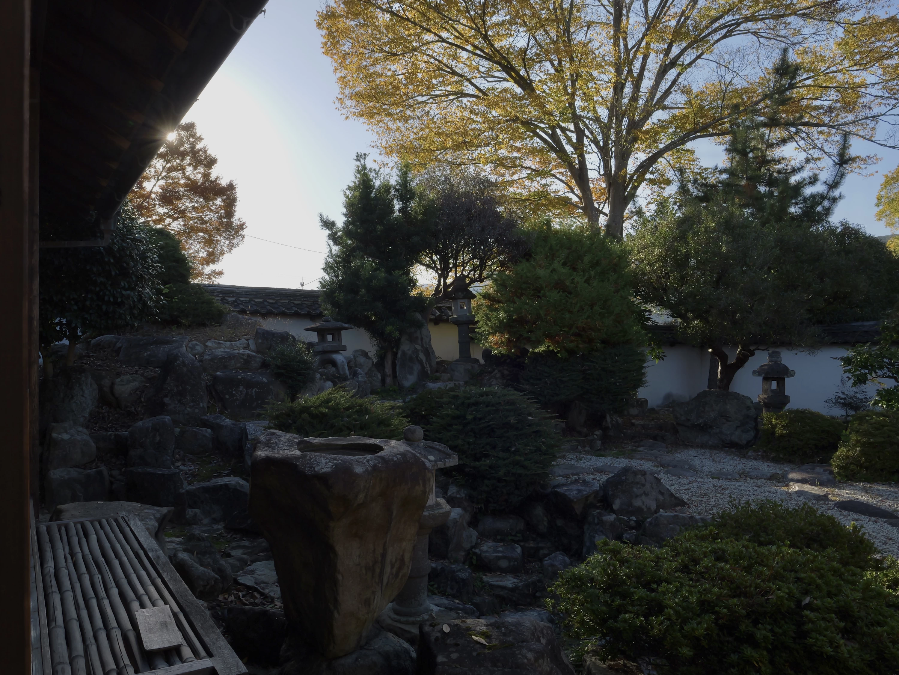 中庭（現地にて撮影）