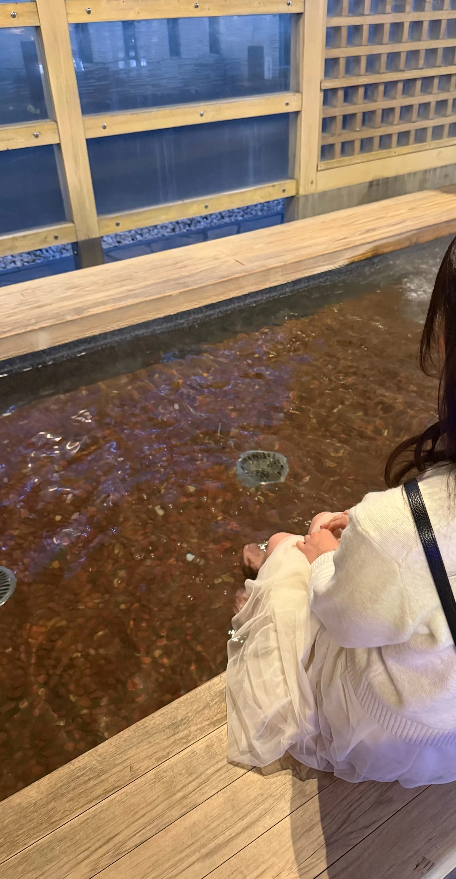 道の駅 どまんなかたぬま 足湯①（現地にて撮影）