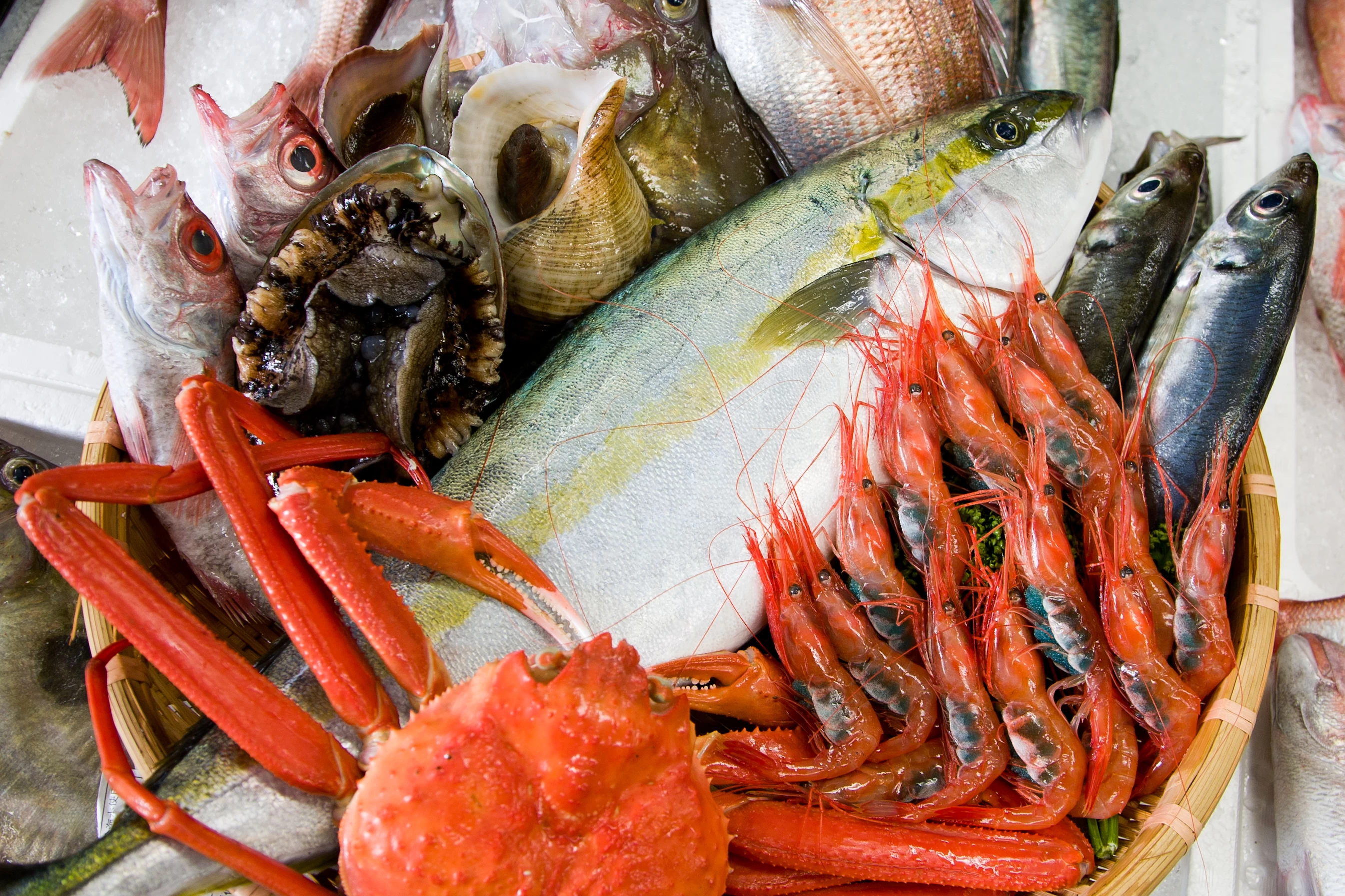 漁港から仕入れた新鮮な食材を使用